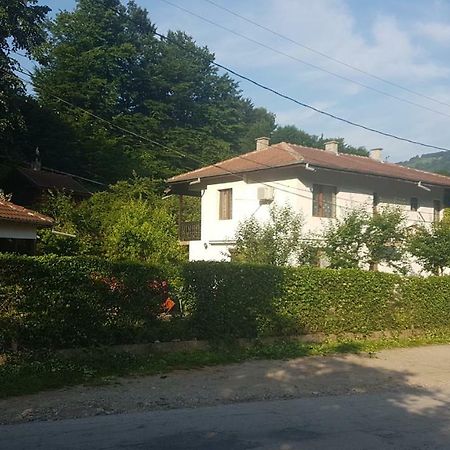 Вила Керенски Ribarica Bagian luar foto
