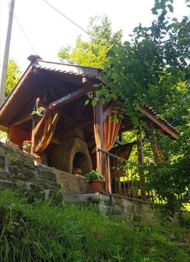 Вила Керенски Ribarica Bagian luar foto