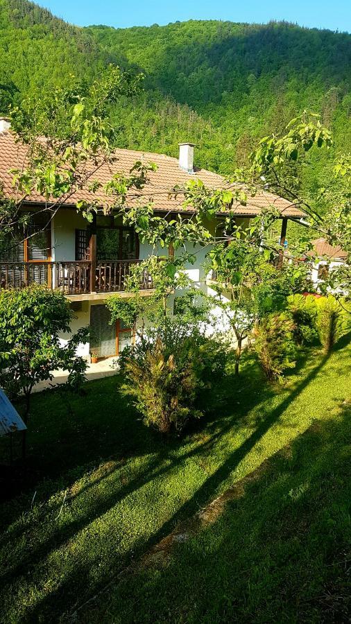 Вила Керенски Ribarica Bagian luar foto